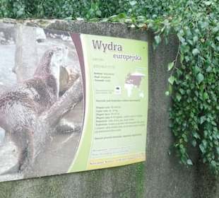 Spacer po zoo