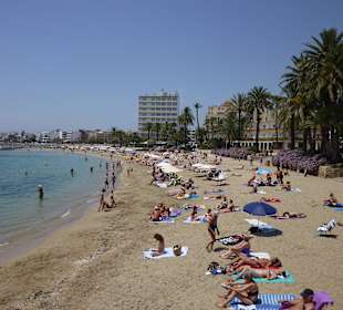 Strand in der Nähe des Hotels Ibiza Playa