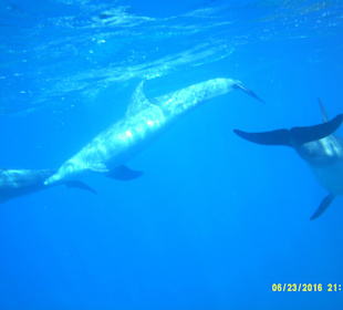 Ein unvergessliche Tag mit der Sonnenfee