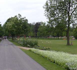Viel Rasen