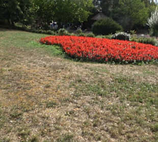 Erlebnispark Tripsdrill