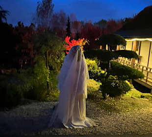 Mondo Verde Halloween