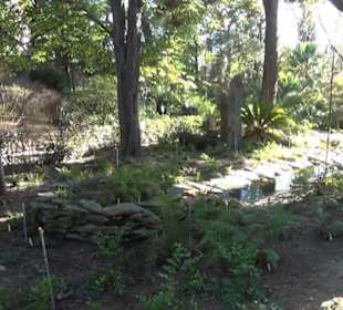 Real Jardín Botánico de Madrid