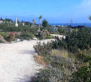 Kakteengarten am Skulpturenpark