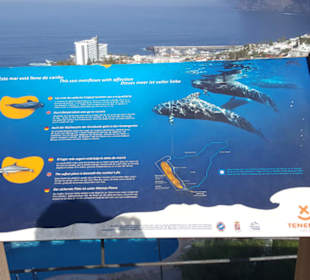 Aussichtspunkt El Mirador Archipenque in Santiago 