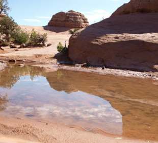 Arches National Park 