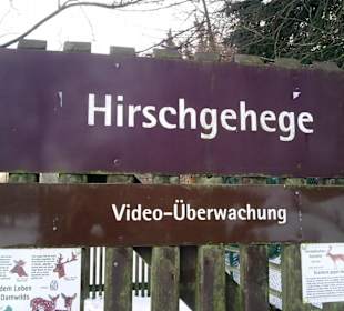 Wildgehege (leider geschlossen)