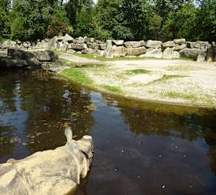Panzernashorn Anlage
