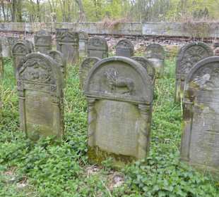 In einen der größten jüdischen Friedhöfe Europas