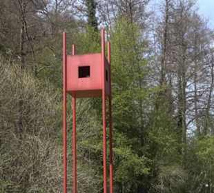 Sculptoura Woodwatcher