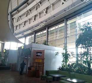 Tropical Islands in Krausnick