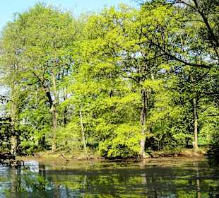 Impressionen aus dem Park Höpkensruh