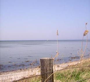 Naturschutzgebiet Geltinger Birk