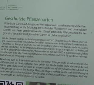Schwäbische Alb