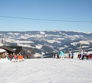 Zauberteppich