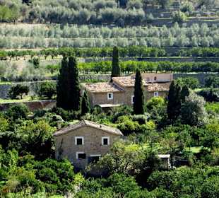 Umgebung von Fornalutx