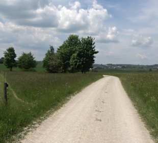 Klimaweg Sonnenalb