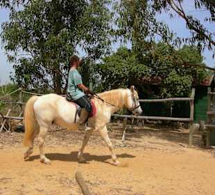 Reitunterricht /Reitausflüge