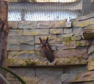 Weltvogelpark Walsrode