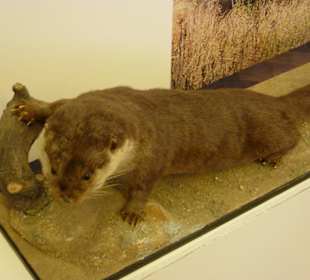 Národní zemědělské muzeum