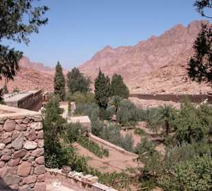 Klostergarten des Katharinen-Klosters