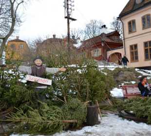 Freilichtmuseum Skansen