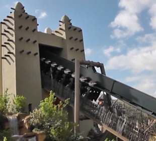 Deep in Africa - Black Mamba