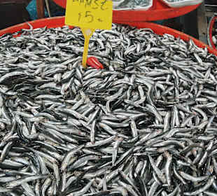 Markt