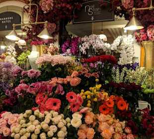Blumen at Harrods