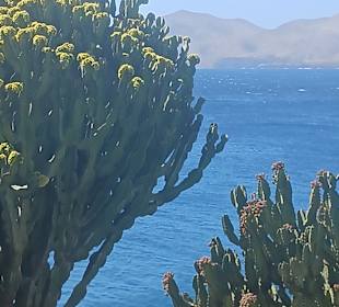 Wandern Puerto del Carmen