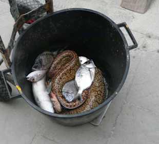 Cinque Terre Landausflug