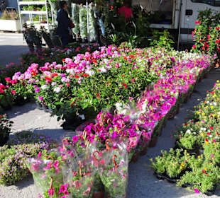 Eindrücke vom Wochenmarkt Nuoro