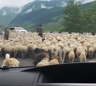 Gruzińska Droga Wojenna