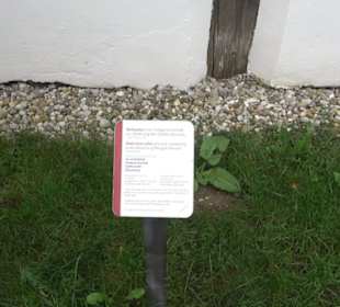 Gallorömischer Tempelbezirk