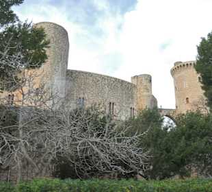 Bei einer organisierten Busrundfahrt auf Mallorca