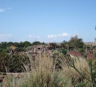 Blick auf Rancho Texas