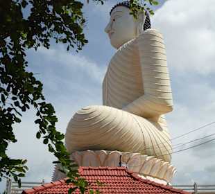 Buddha Tempel in Aluthgama