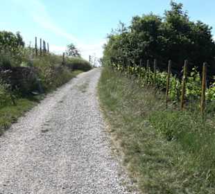 Früchtetrauf - Wurmlinger Kapellenwegle