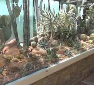 Unteres Kakteenhaus