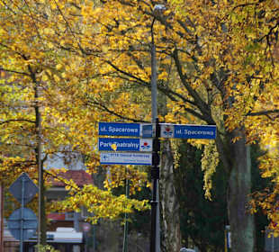 Altstadt Kolberg