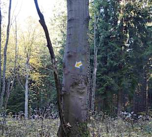 Riesengebirge/Karkonosze