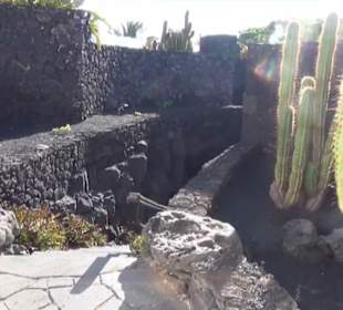 Fundacion Cesar Manrique