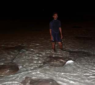 Rochenfütterung Sun Island