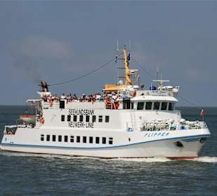 Neuwerkschiff "FLIPPER"