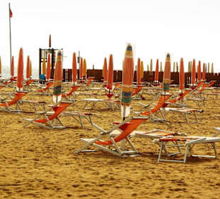 Pluto Bereich Mensch und Hund