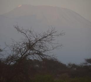 Da liegt ja Schnee!!!