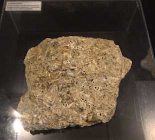 HöhlenSchauLand Hürben