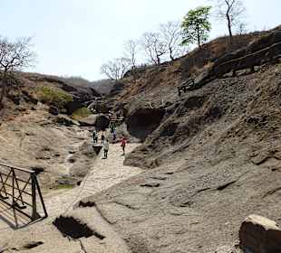 Im Nationalpark Sanjay Gandhi