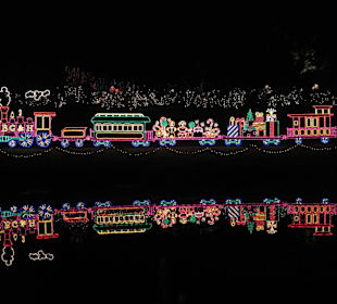 Magic Christmas in Lights