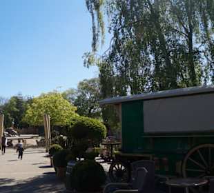 Zoo Arche Noah Grömitz